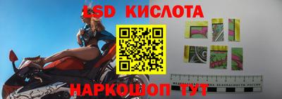 гашик Будённовск