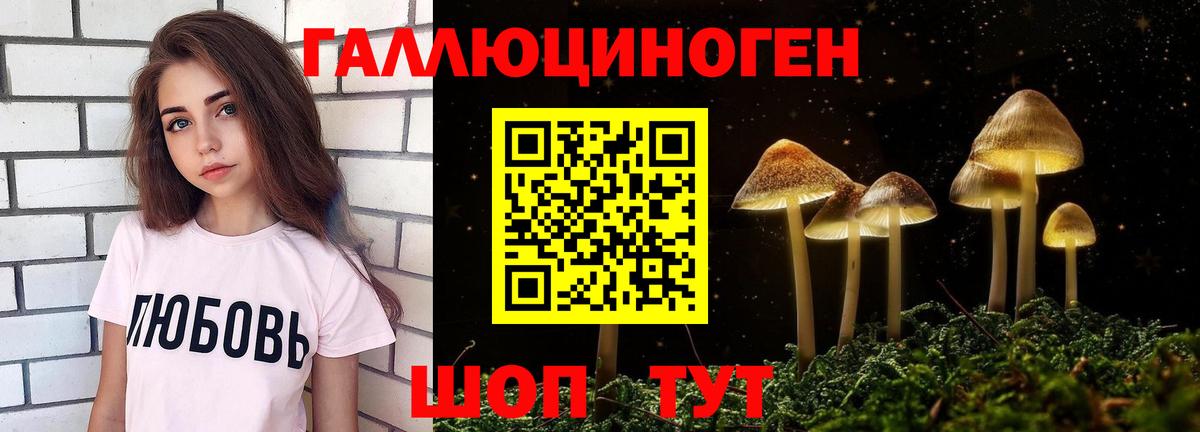 Петрозаводск  Галлюциногенные грибы ЛСД  Вход с VPN 