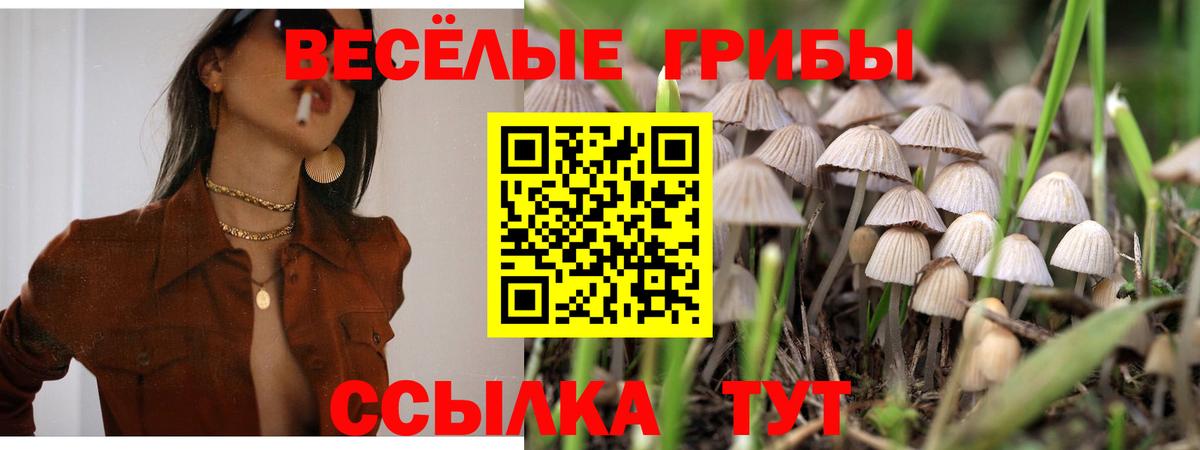 Псилоцибиновые грибы прущие грибы Петрозаводск